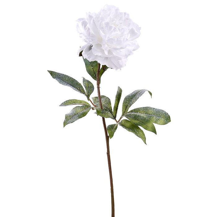 28" Artificial Snowed Peony Flower Stem -White (pack of 12) - XFS549-WH