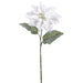 28" Artificial Snowed Poinsettia Flower Stem -White (pack of 12) - XFS551-WH