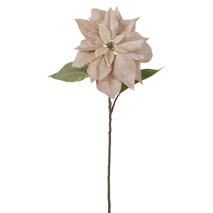 28" Velvet Artificial Poinsettia Flower Stem -Beige (pack of 12) - XFS584-BE