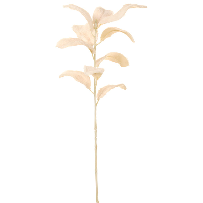 31" Fur Artificial Magnolia Leaf Stem -Cream (pack of 6) - XFS588-CR