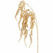 47" Hanging Metallic Button Fern Leaf Artificial Stem -Gold (Pack of 12) - XFS680-GO