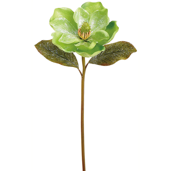 22.5" Glittered Artificial Magnolia Flower Stem -Green (Pack of 12) - XFS731-GR
