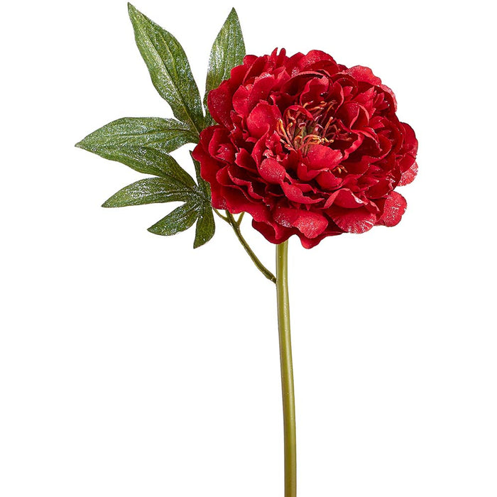 22" Glittered Silk Peony Flower Stem -Red (Pack of 12) - XFS732-RE
