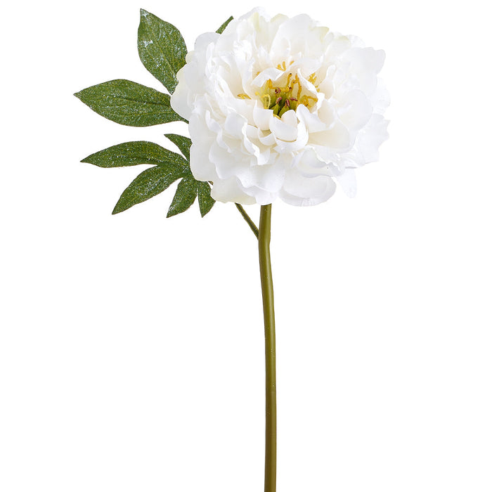 22" Glittered Silk Peony Flower Stem -White (Pack of 12) - XFS732-WH