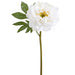 22" Glittered Silk Peony Flower Stem -White (Pack of 12) - XFS732-WH