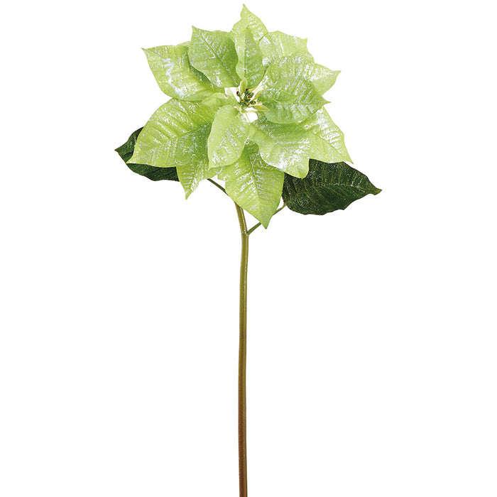 23" Glittered Artificial Poinsettia Flower Stem -Green (Pack of 12) - XFS733-GR