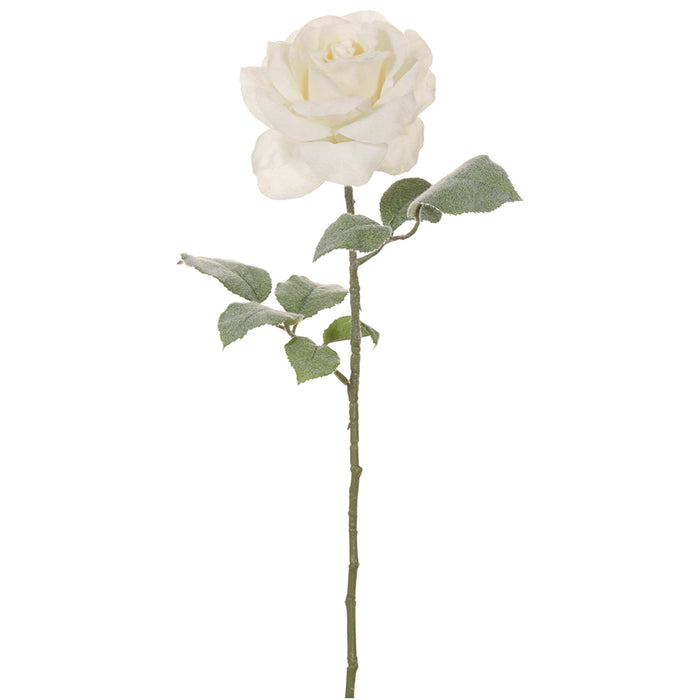 24" Frosted Artificial Rose Flower Stem -Cream (pack of 12) - XFS893-CR