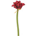 25" Artificial Amaryllis Flower Stem -Burgundy (pack of 12) - XFS997-BU