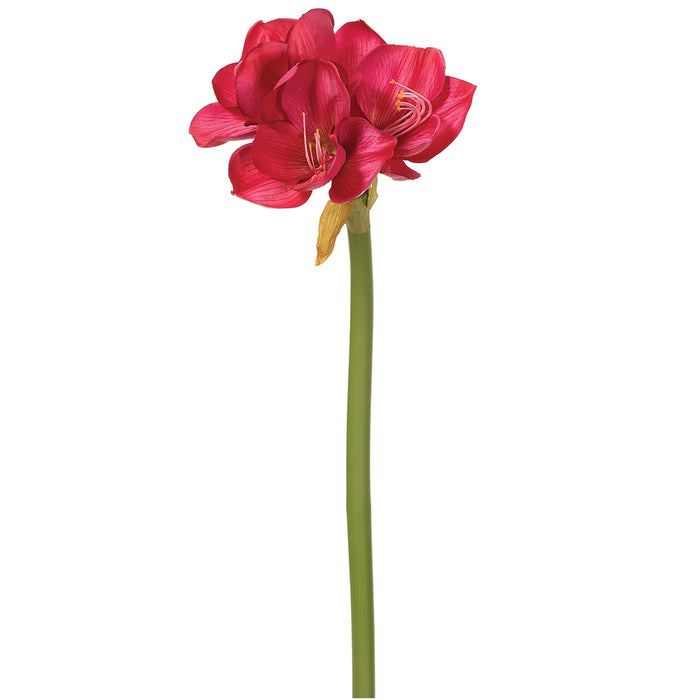 25" Artificial Amaryllis Flower Stem -Fuchsia (pack of 12) - XFS997-FU