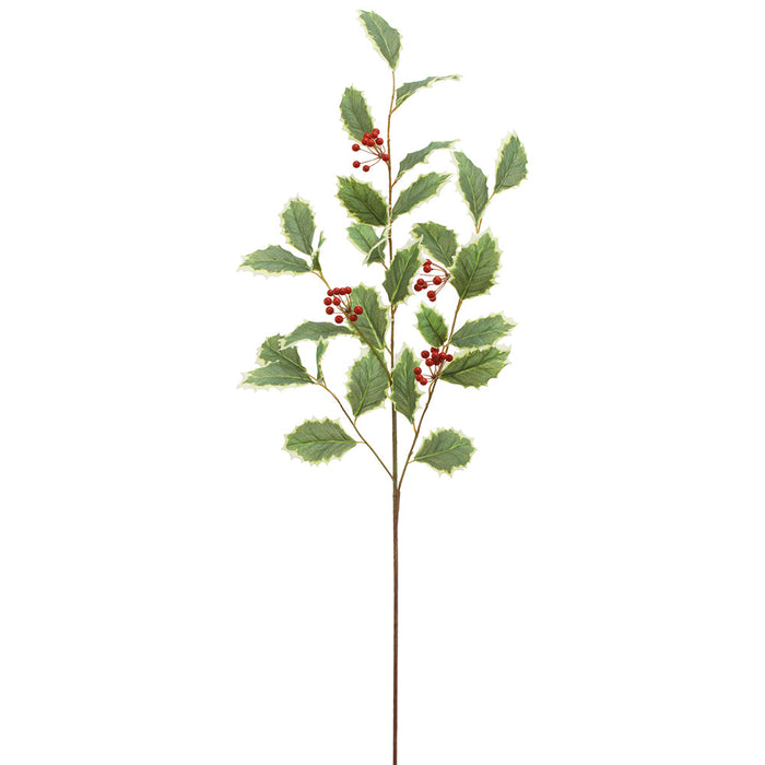 32" Faux Holly Leaf & Berry Stem -Variegated/Red (Pack of 12) - XHS208-VG/RE