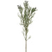 35.5" Artificial Brunia & Berry Stem -Gray/Green (pack of 6) - XHS267-GY/GR