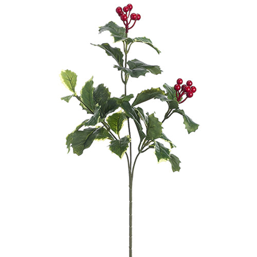 22" Iced Holly & Berry Artificial Stem -Green/Variegated (pack of 12) - XHS407-GR/VG