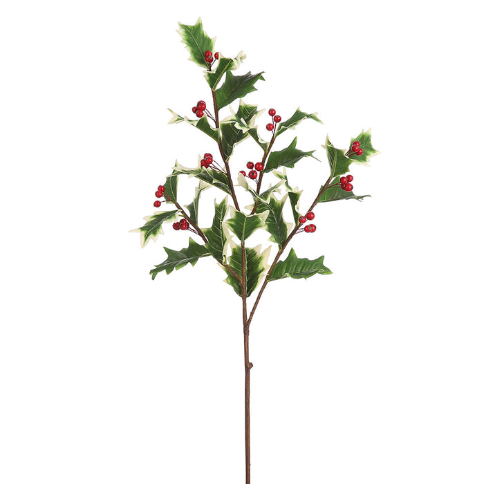 32" Artificial Holly Leaf & Berry Stem -Variegated/Red (Pack of 12) - XHS517-VG/RE