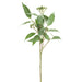 35" Iced Artificial Seeded Eucalyptus Leaf Stem -Green (pack of 12) - XHS522-GR/IC