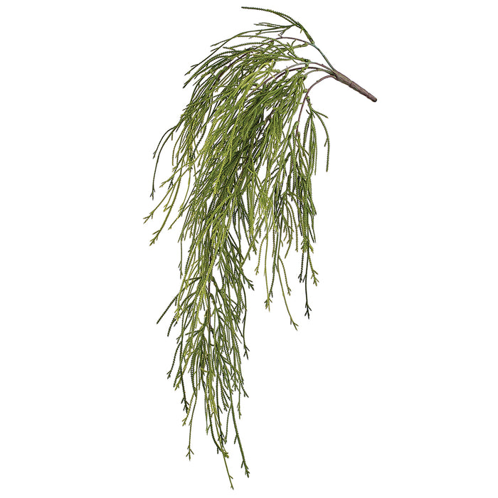 29" Hanging Artificial Club Moss Fern Plant -Green (Pack of 12) - XIB003-GR