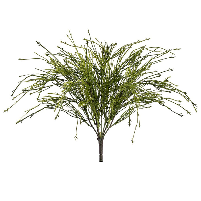 22" Artificial Club Moss Fern Plant -Green (Pack of 12) - XIB005-GR