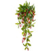 30" Hanging Artificial Laurel Leaf & Berry Plant -Red (Pack of 6) - XIB631-RE