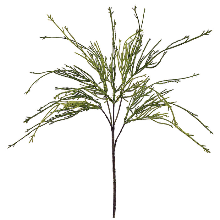 21" Artificial Club Moss Fern Stem -Green (Pack of 24) - XIS007-GR