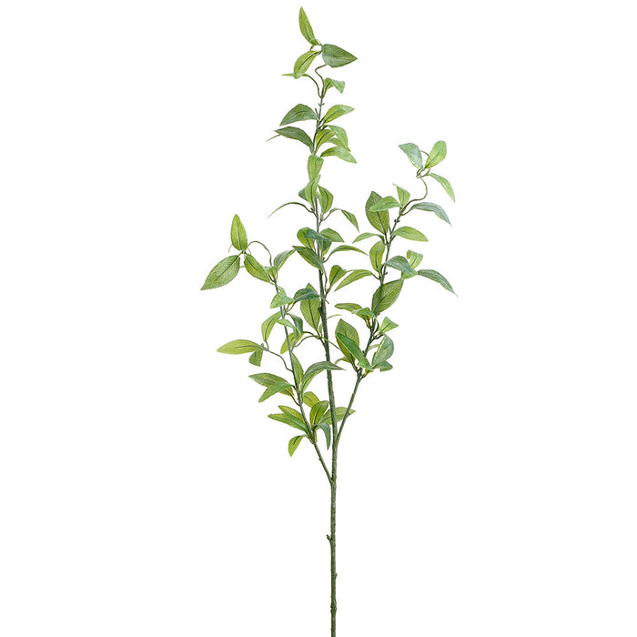 40" Artificial Laurel Leaf Stem -Green/Gray (Pack of 12) - XIS174-GR/GY
