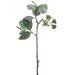 27" Eucalyptus w/Seed Silk Stem -Green (Pack of 12) - XIS224-GR