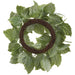 24" Glittered Artificial Hydrangea Leaf Wreath -Green - XIW002-GR