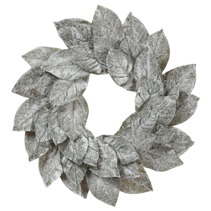 22" Iced Artificial Magnolia Leaf Wreath -Green/Ice (Pack of 2) - XIW039-GR/IC