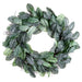 26" Iced Artificial Magnolia Leaf Hanging Wreath -Green (pack of 4) - XIW067-GR