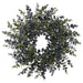 24" Iced Artificial Eucalyptus Leaf Wreath -Green (Pack of 2) - XIW237-GR