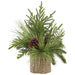 19" Mixed Pine & Pinecone Artificial Arrangement w/Basket -Green/Brown (Pack of 2) - XLF081-GR/BR