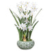 22.5" Paperwhite Silk Flower Arrangement w/Ceramic Vase -White (Pack of 2) - XLF098-WH