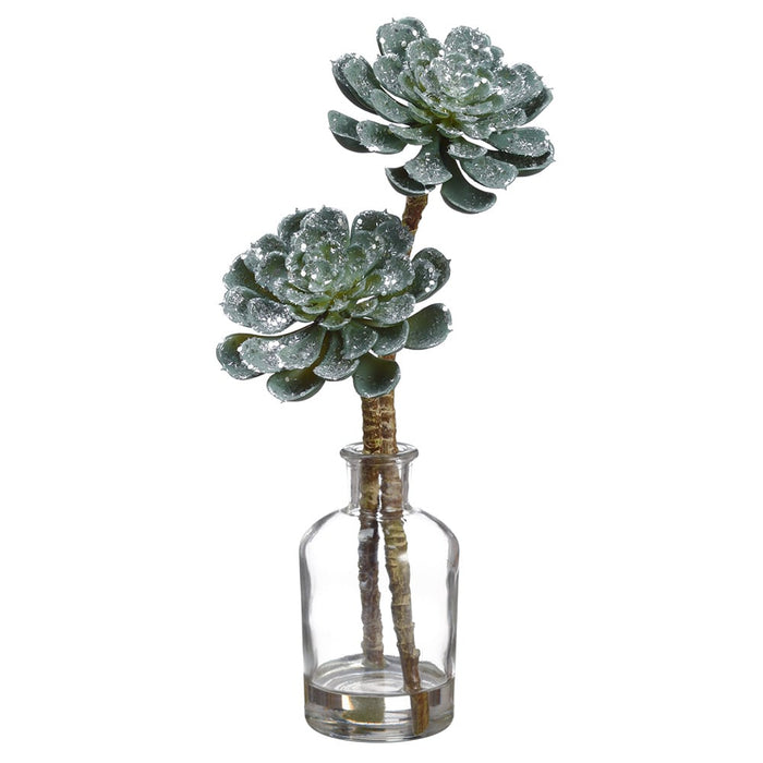 12" Glittered Artificial Echeveria Succulent Arrangement w/Glass Vase -Green/Ice (pack of 6) - XLF127-GR/IC