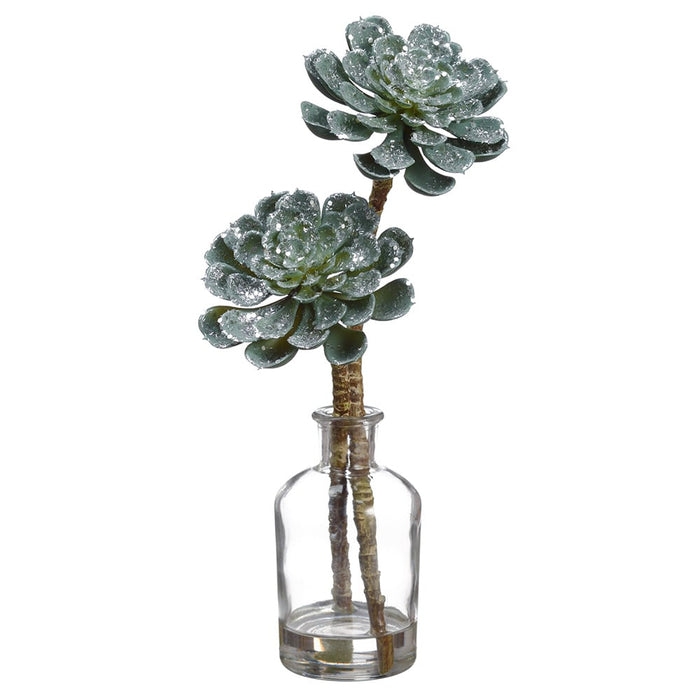 artificial succulent arrangements in glass 12" Glittered Artificial Echeveria Succulent Arrangement w/Glass Vase — Silks Are Forever