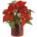 12" Poinsettia Artificial Flower Arrangement w/Glass Vase -Red/Green (Pack of 6) - XLF172-RE/GR