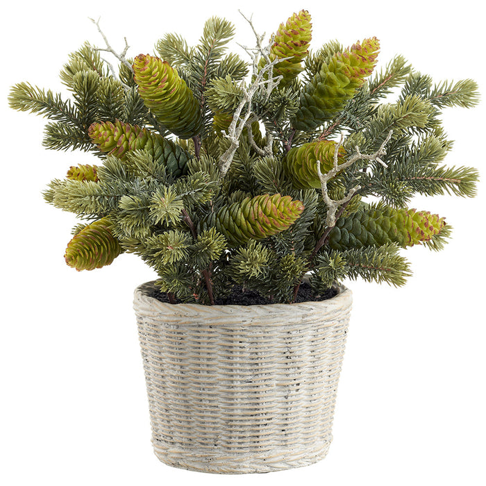 14" Pine, Pinecone & Twig Artificial Arrangement w/Cement Pot -Green (Pack of 2) - XLF313-GR