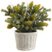 14" Pine, Pinecone & Twig Artificial Arrangement w/Cement Pot -Green (Pack of 2) - XLF313-GR