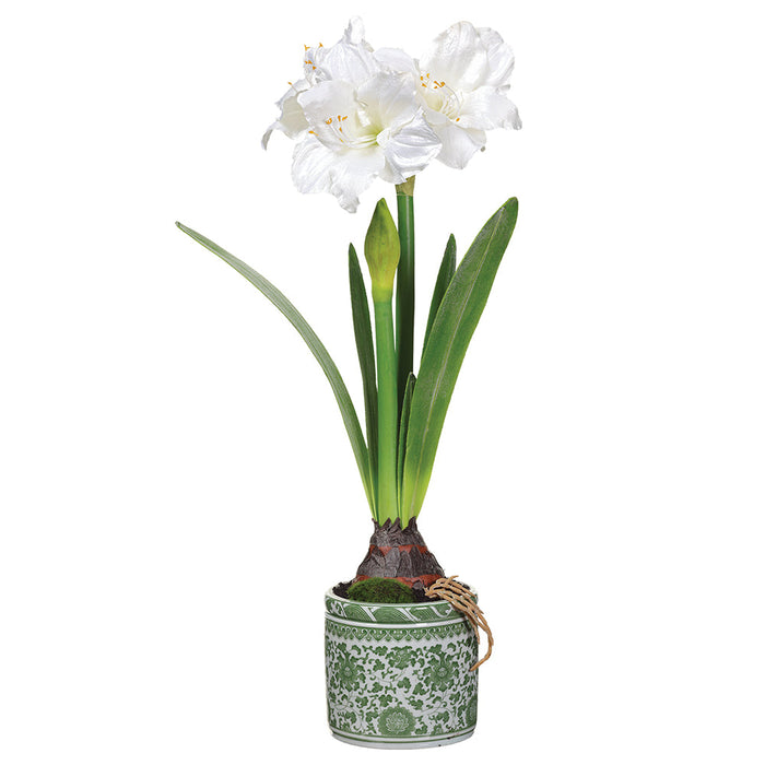 27.5" Amaryllis Silk Flower Arrangement w/Ceramic Vase -White (Pack of 2) - XLF465-WH