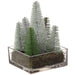 12" Flocked Tree Artificial Arrangement w/Glass Vase -Green/White (Pack of 2) - XLF475-GR/WH