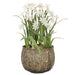 28" Artificial Paperwhite Flower Arrangement w/Metal Planter -White (pack of 2) - XLF517-WH