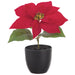 9" Velvet Poinsettia Artificial Flower Arrangement w/Plastic Pot -Red (Pack of 12) - XLF637-RE