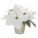 8" Artificial Poinsettia Flower Arrangement w/Ceramic Vase -White - XLF796-WH