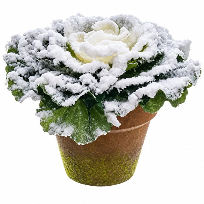 4.5" Flocked Cabbage Artificial Plant w/Papier Mache Pot -Green/Snow (Pack of 12) - XLP204-GR/SN