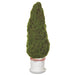 24.5" Moss Cone-Shaped Artificial Topiary w/Magnesium Oxide Planter -Green (pack of 2) - XLR645-GR