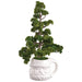17" Ming Pine Artificial Tree w/Santa Vase -Green (Pack of 4) - XLT022-GR