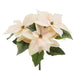 14" Poinsettia Silk Flower Bush -Light Peach (Pack of 12) - XPB151-PE/LT