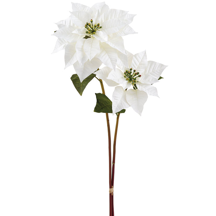 27" Poinsettia Silk Flower Stem Bundle -Cream (Pack of 12) - XPB739-CR