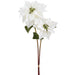 27" Poinsettia Silk Flower Stem Bundle -Cream (Pack of 12) - XPB739-CR