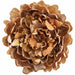 8" Metallic Shimmer Peony Artificial Clip-On Flower -Gold (Pack of 6) - XPH008-GO