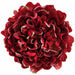 8" Velvet Shimmer Peony Artificial Clip-On Flower -Red/Gold (Pack of 6) - XPH011-RE/GO