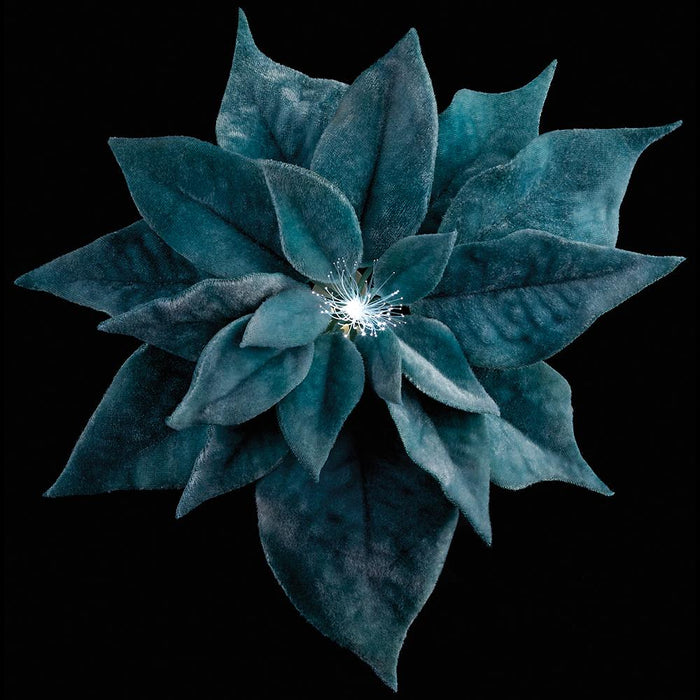9" Velvet Poinsettia Battery Operated Fiber Optic Light Artificial Clip-On Flower -Aqua (Pack of 12) - XPH150-AQ