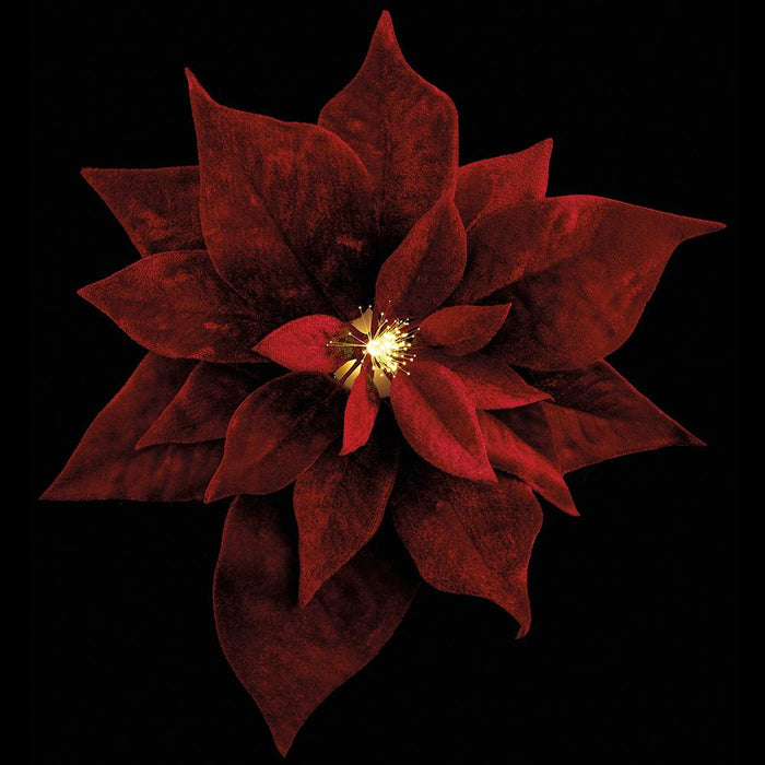9" Velvet Poinsettia Battery Operated Fiber Optic Light Artificial Clip-On Flower -Red (Pack of 12) - XPH150-RE